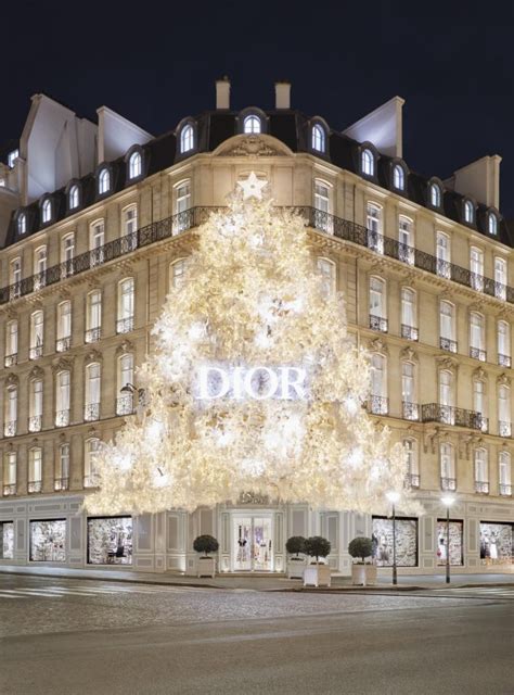 dior paris noel